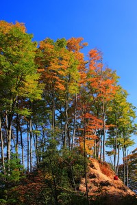 西班牙队在欧预赛中不败战绩，领跑积分榜