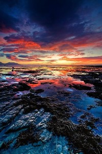 NBA名宿张伯伦受邀出任CBA联赛顾问，授业解惑