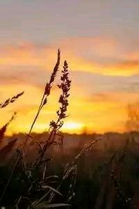 恒大主场大胜深圳佳兆业，稳居积分榜榜首