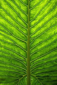 篮球巨星受伤后首次复出，球迷热情欢迎