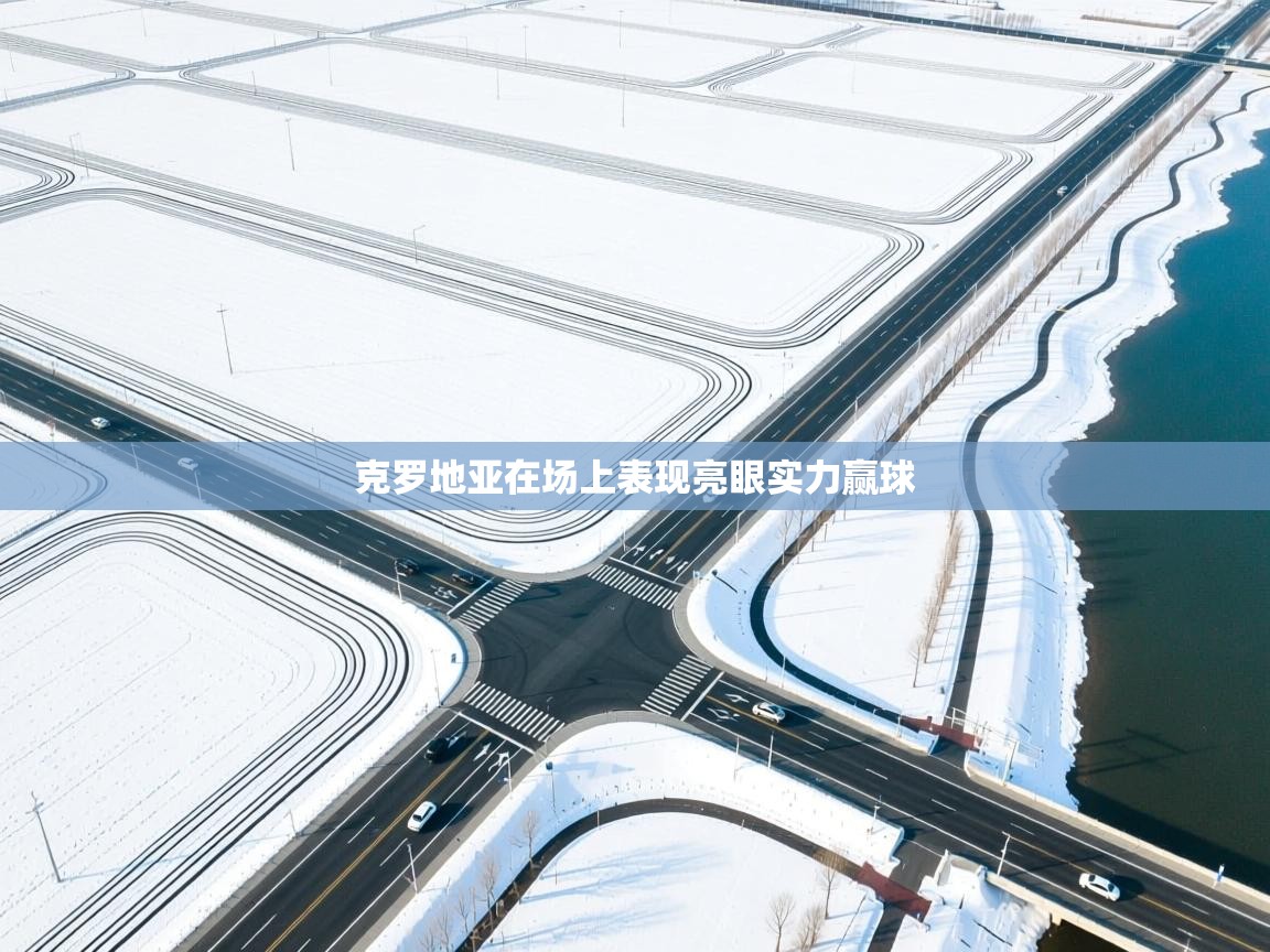 克罗地亚在场上表现亮眼实力赢球  第1张