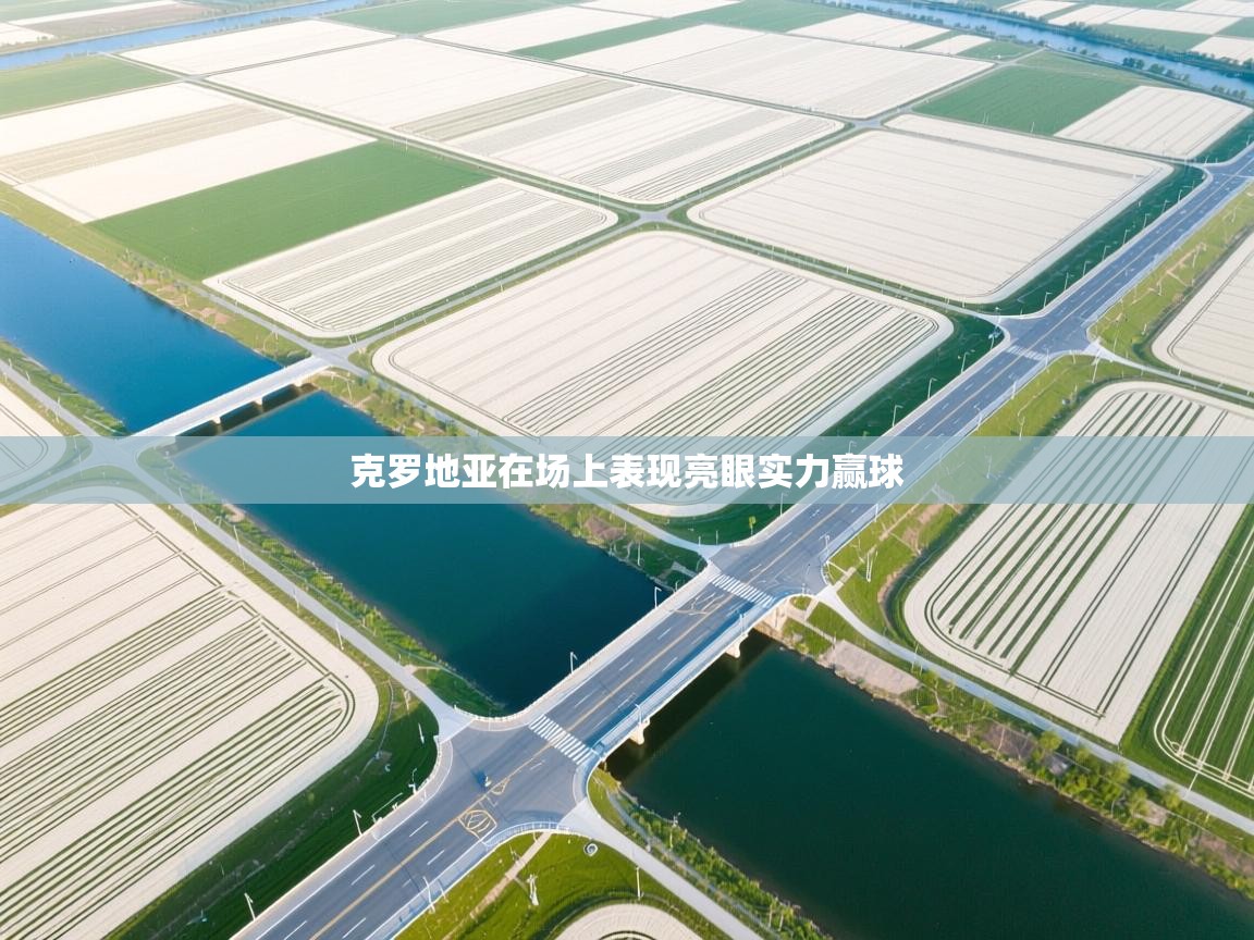 克罗地亚在场上表现亮眼实力赢球  第2张